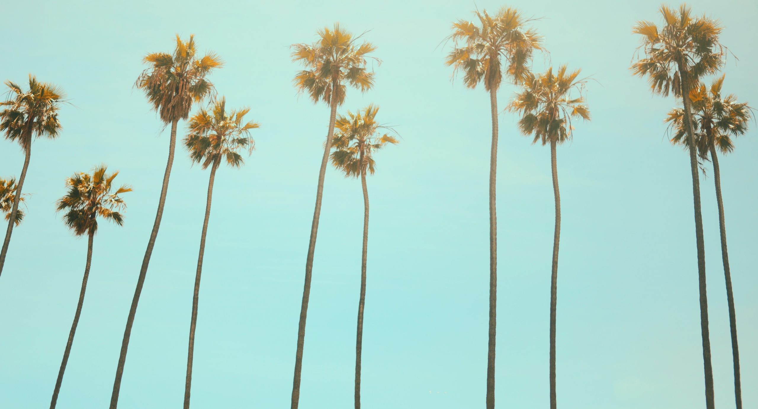 10 Best California Cities to Start a Restaurant