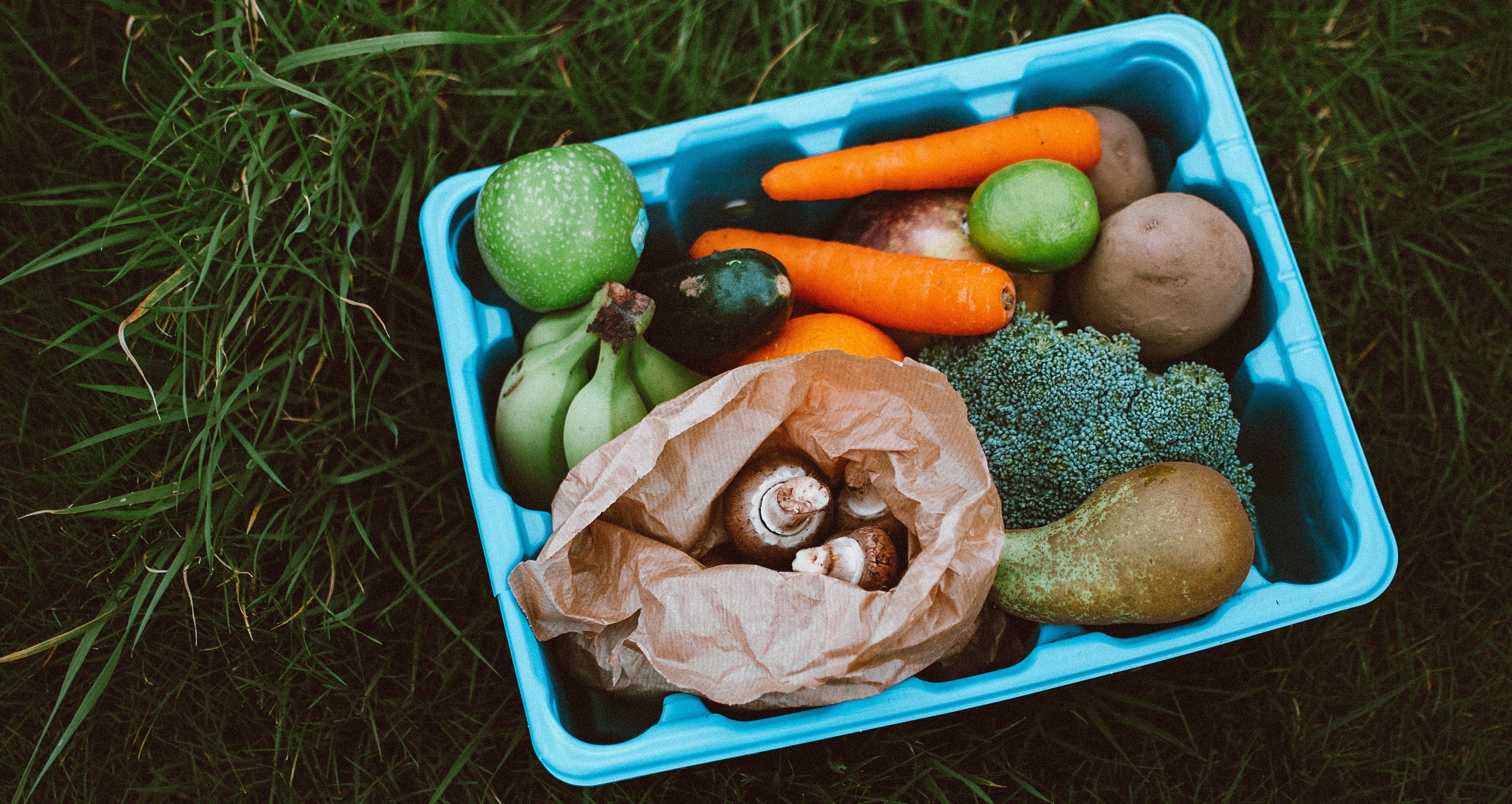 Community Highlight: My Green Lunch