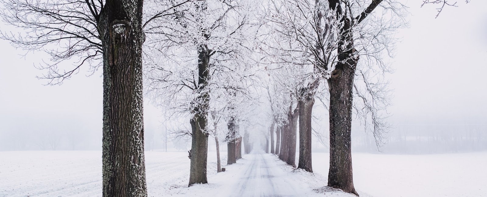 How to Adapt Outdoor Seating for Winter
