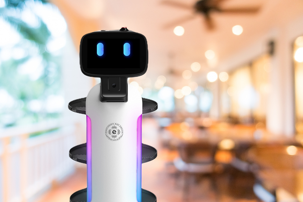 A Fully Autonomous Assistant