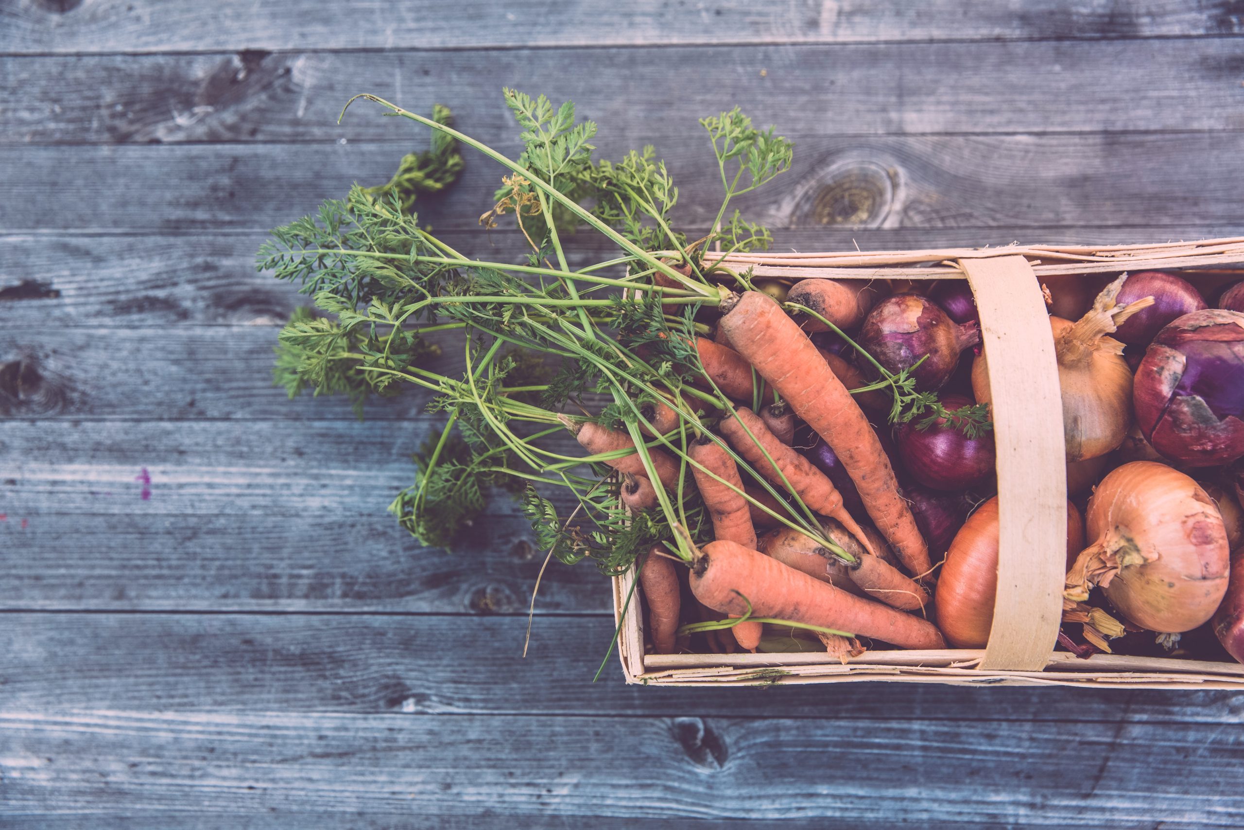 What to Expect as the Food Supply Chain Recovers
