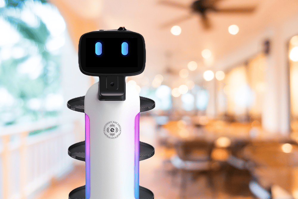 A Fully Autonomous Assistant
